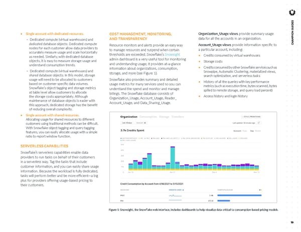 Consumption-Based Pricing - Page 19